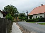 Třibřichy